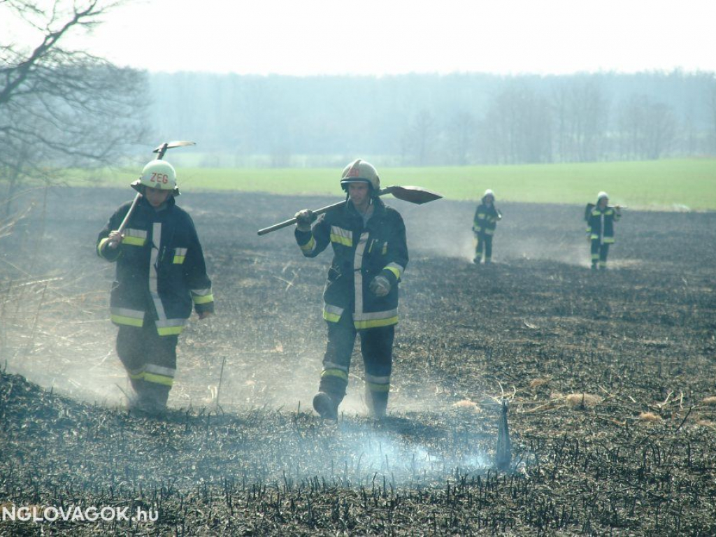 Nádastűz Pácsony és Olaszfa között