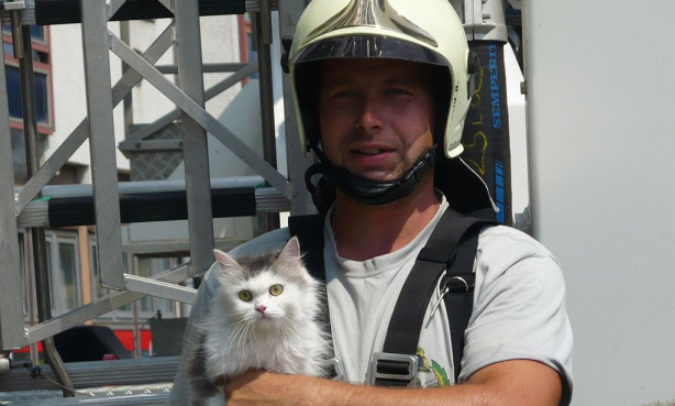 Ereszcsatornában rekedt egy macska Kisújszálláson