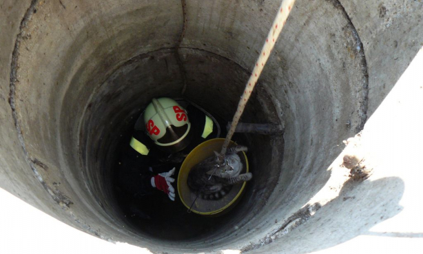 Kútba esett macskát mentettek Sülysápon