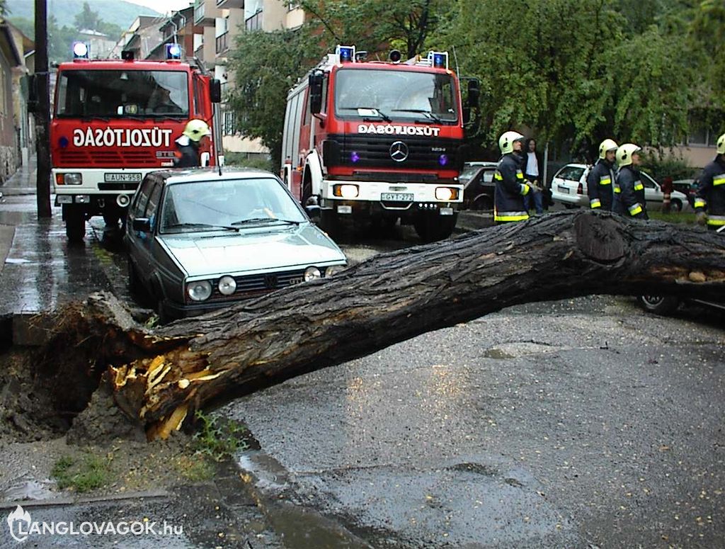 Személyautóra dőlt egy fa Budapesten