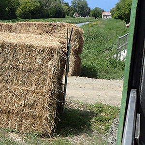 Kazal a vasúti pálya közelében
