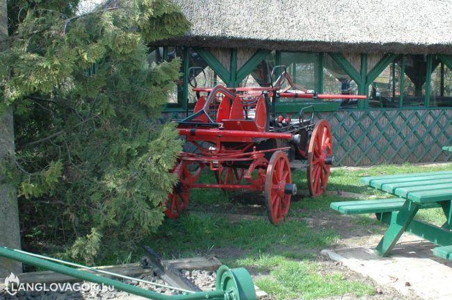 Kocsifecskendő Tiszaszentimre-Pusztakettősön (Fotó: Horváth Zoltán)