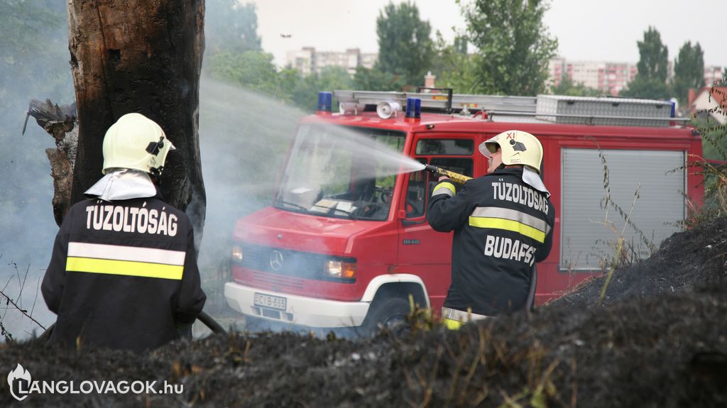 Mercedes-Benz gépjárműfecskendő [CIB-665]