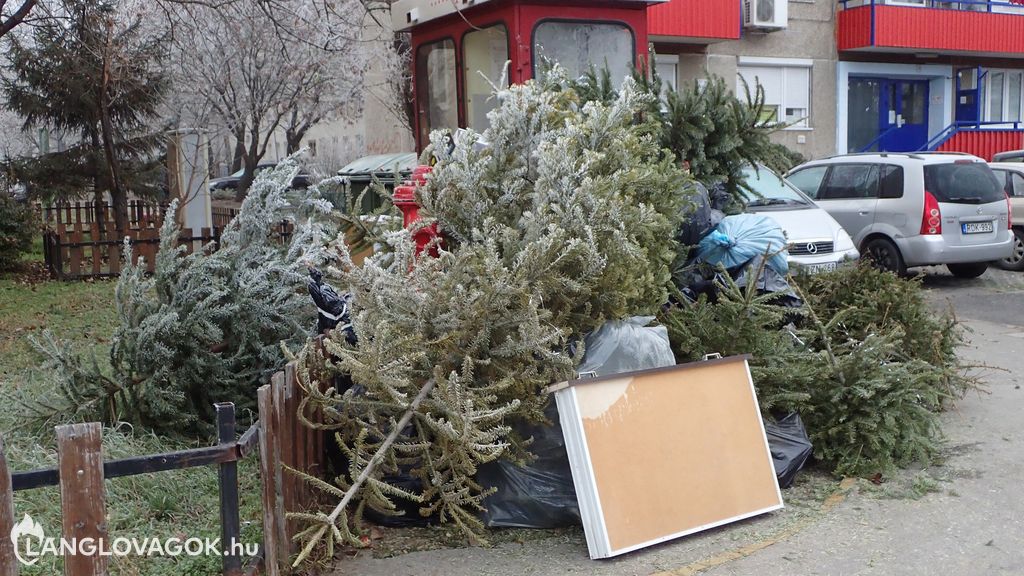 Tűzcsap a kiszolgált karácsonyfák fogságában